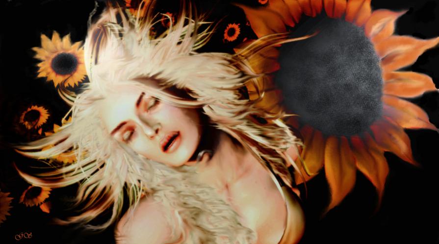 CLIZIA, the SUNFLOWER