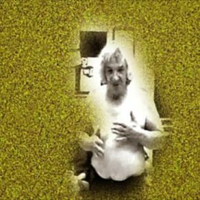 il viaggiatore incantato -The enchatnted pilgrim