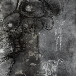 particolare particolare