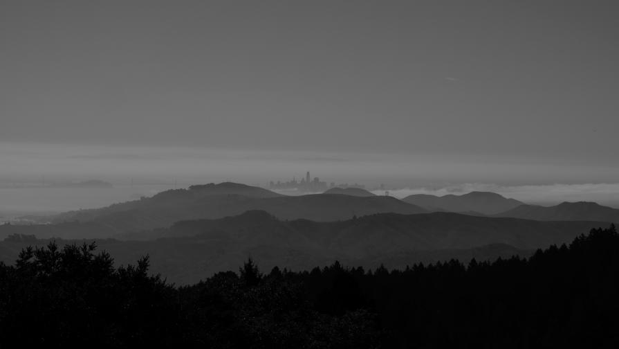 San Fransisco skyline 