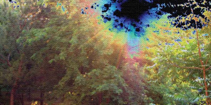 Artists of Quantum Art