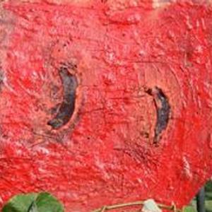 I am not Superstitious I am not Superstitious