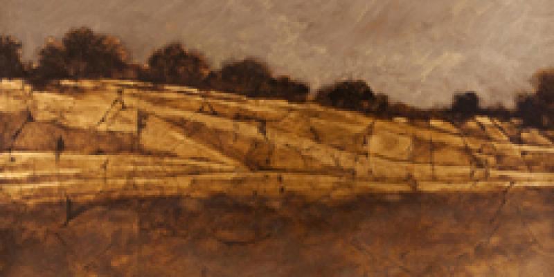 Naturae, opere di Massimo Innocenti. A cura di Angela Sanna