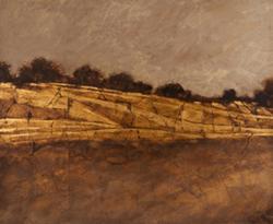 Naturae, opere di Massimo Innocenti. A cura di Angela Sanna