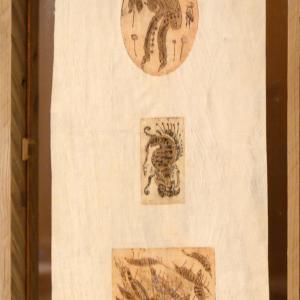 FOTO-GRAFICA AL CLUB MERIDIANA