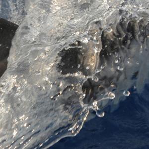 "mare rumore e silenzi"