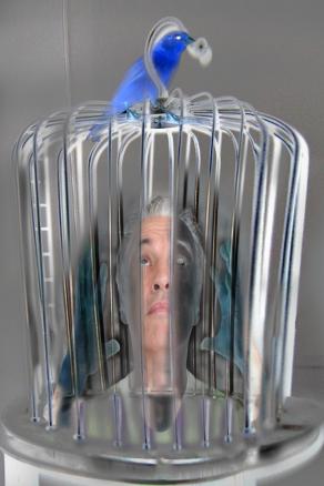 devo mettere la testa nella gabbia,cosi'  la smette di pensare.