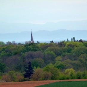 Palette de vert et bleu