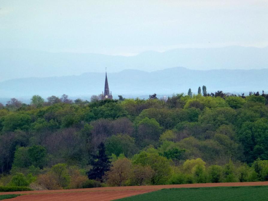 Palette de vert et bleu