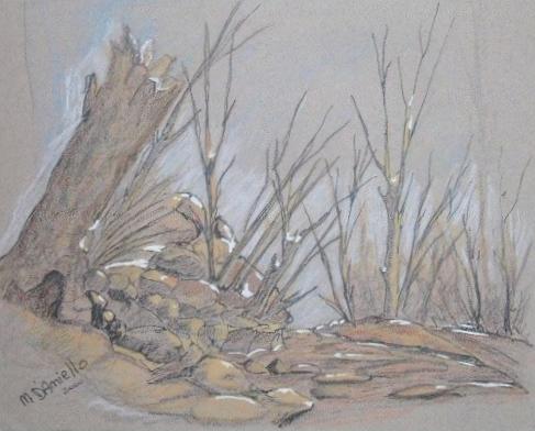 PRIMA NEBBIA DEL  MATTINO