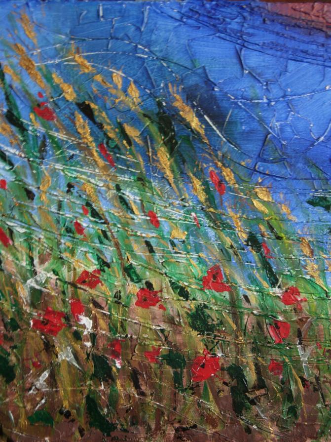 Un vortice di vita Un vortice di vita