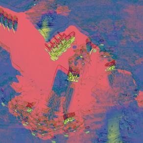 Flying Roller in Pinc