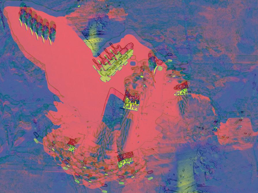 Flying Roller in Pinc