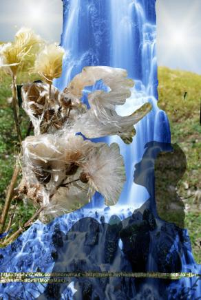 ...RENZI...  *** FOTO DI MAX ***