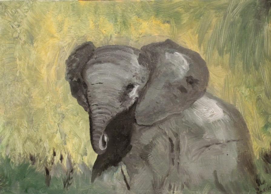 Elefantino in Savana