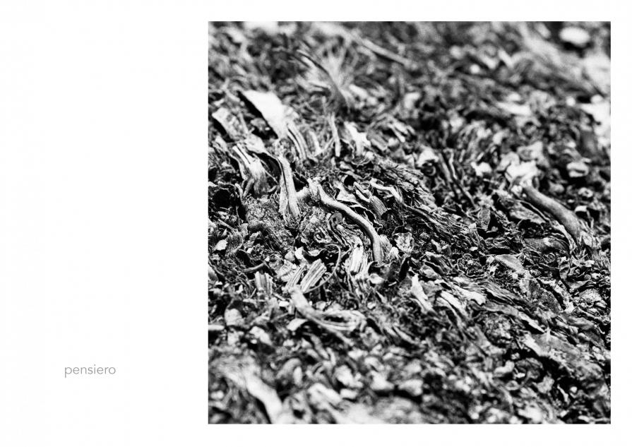 Abbecedario - Pensiero