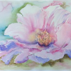 Marta Disetti (Italia) - Natura viva - Acquerello su carta - 50 x 35