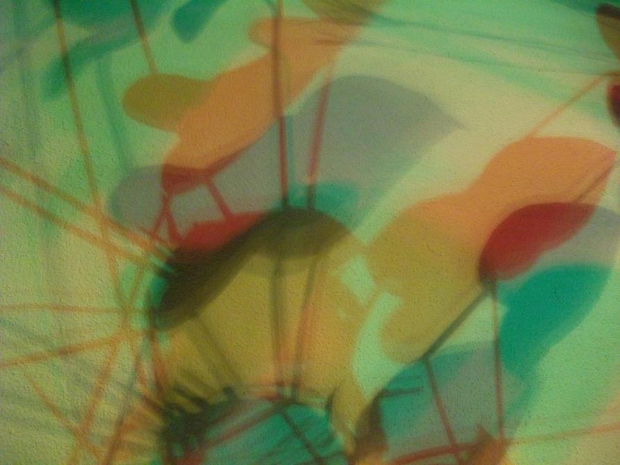 I COLORI DELLA BIODIVERSITÀ