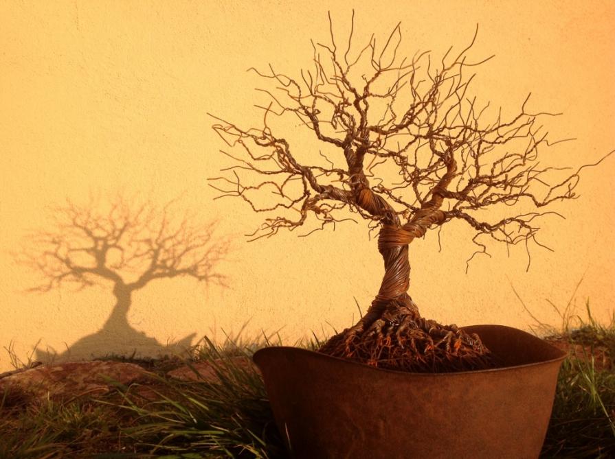 Tree of Life - Albero della Vita