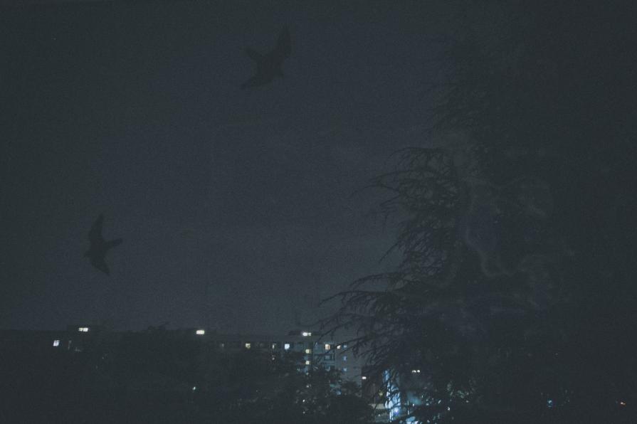 A Sky Full Of Stars For A Roof