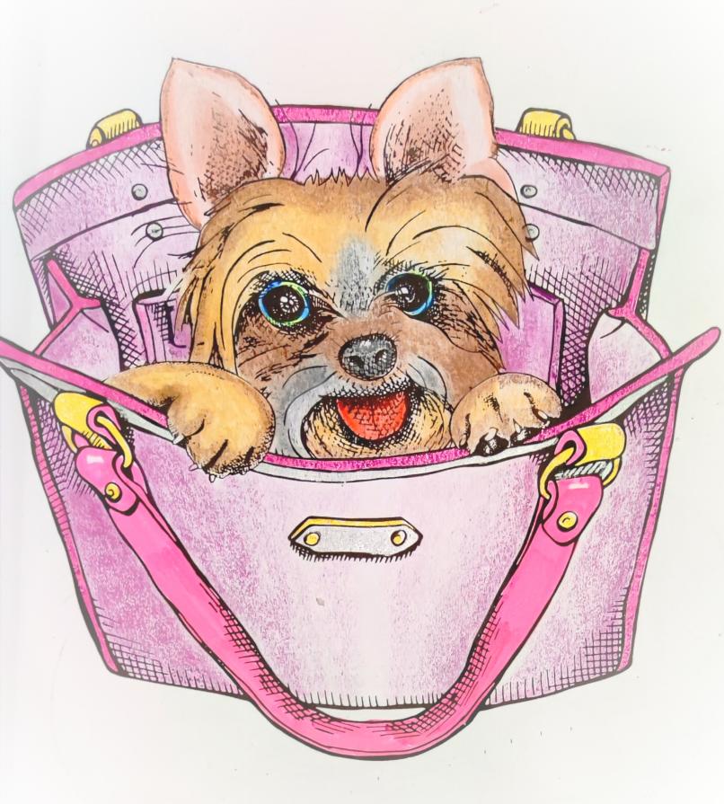 "Il cane è un artista..."...