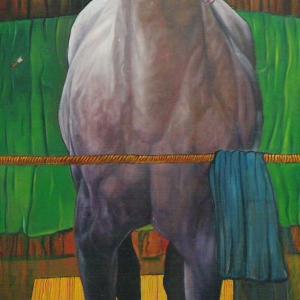 MOSTRE ED EVENTI TELEVISIVI