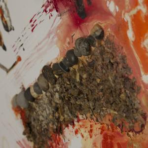 “SCIROCCO”: le stagioni della materia e del colore di Vittorio Vertone.