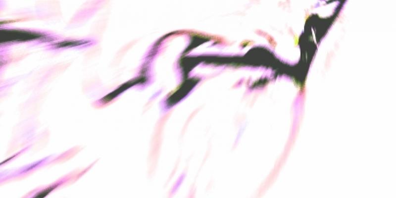 decreation decreation