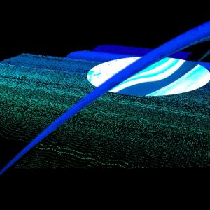 Where Do I belong ? The Bella Vista gallery Chicago USA