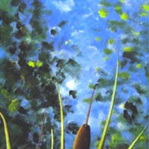 LUCI, COLORI ED EMOZIONI