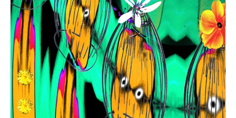 Design Photo Remix 2011