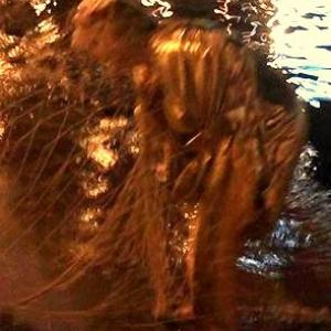 "Patriarchal family in the limelight" "Patriarchal family in the limelight"