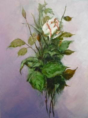 Perfect for the table