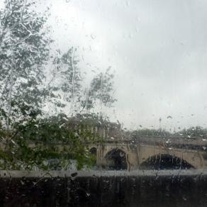 L'Assemblée nationale en pleurs !