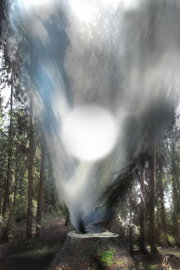 il tronco dei desideri. il tronco dei desideri.