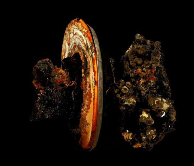 I MONDI DI P.K. (Garlasco)