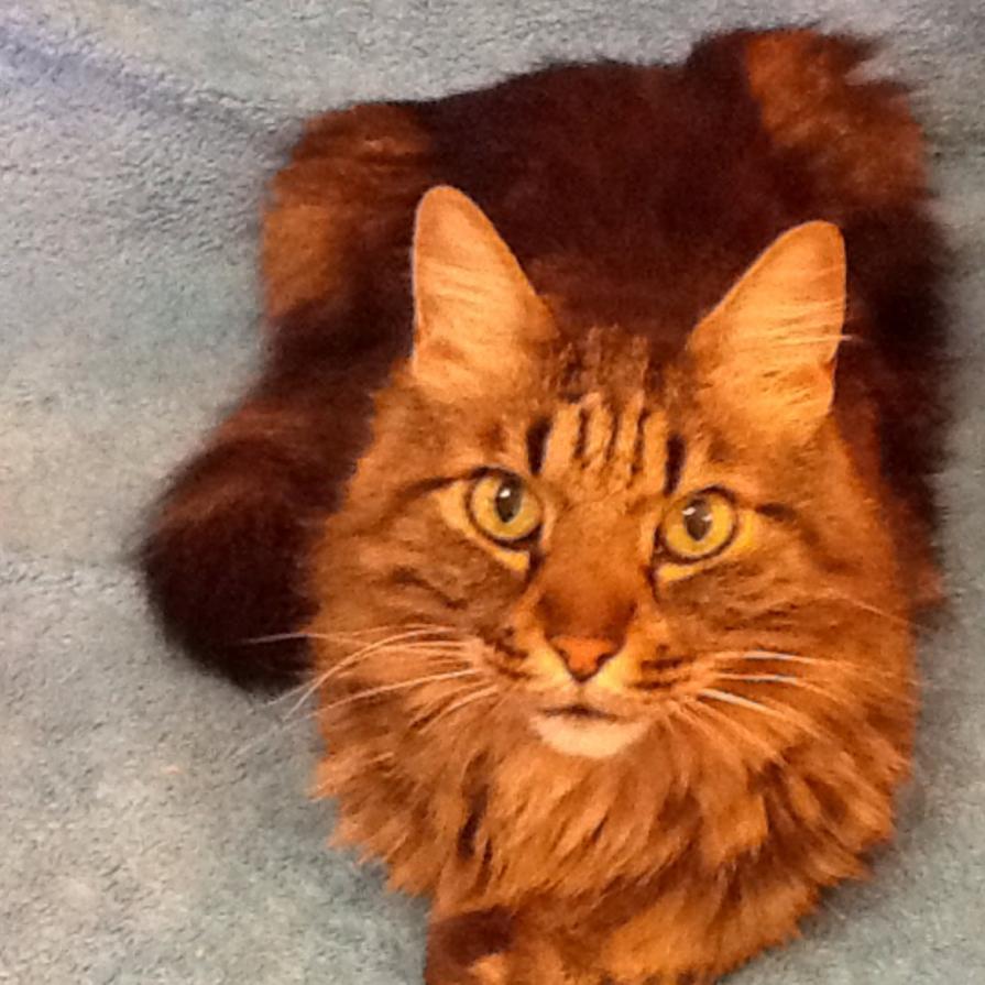 GRAZIE ALLE PERSONE MIGLIORI AL MONDO, PER ESSERE SEMPLICEMENTE SE STESSI AFFABILI NELL'AMICIZIA, COSTANTI NELLA BONTÀ !!! GRAZIE ALLE PERSONE MIGLIORI AL MONDO, PER ESSERE SEMPLICEMENTE SE STESSI AFFABILI NELL'AMICIZIA, COSTANTI NELLA BONTÀ !!!