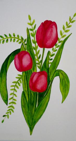 GOCCE? Semplicemente tulipani