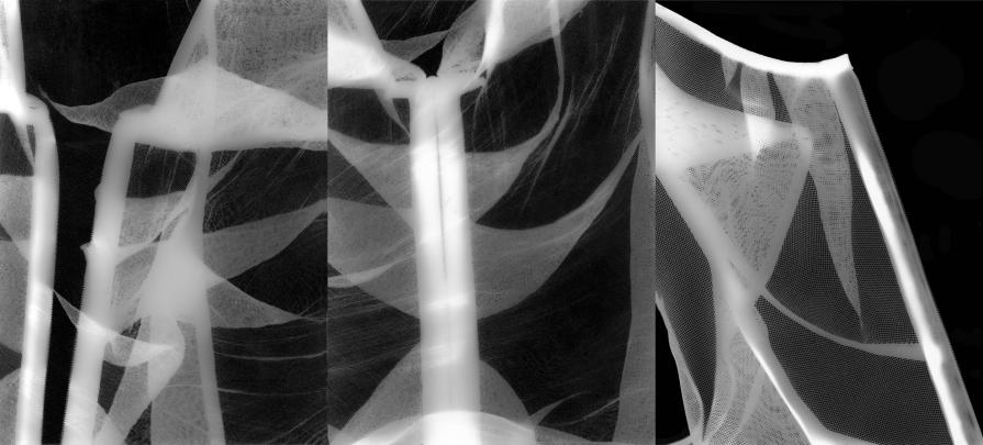 Spoliation Spoliation