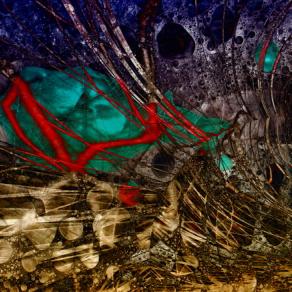 EUU 19 (Esperienza Ultra Umana) 