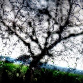 La musica va...e le lacrime scendono 