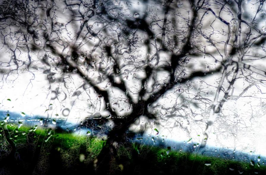 La musica va...e le lacrime scendono 