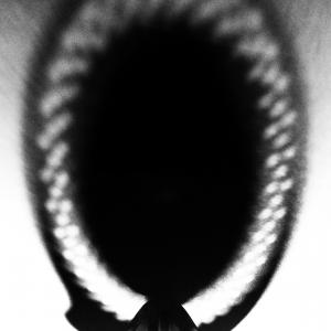 Six thoughts of the same thing - Squeezer