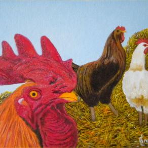 LG 0215 - Il gallo e le galline