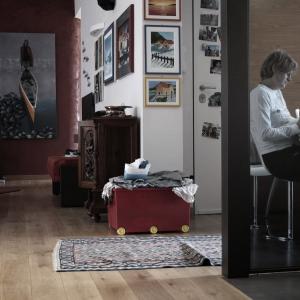 La lettrice La lettrice