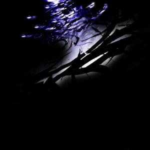 La forma del pensiero La forma del pensiero