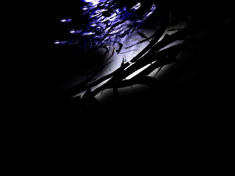 La forma del pensiero