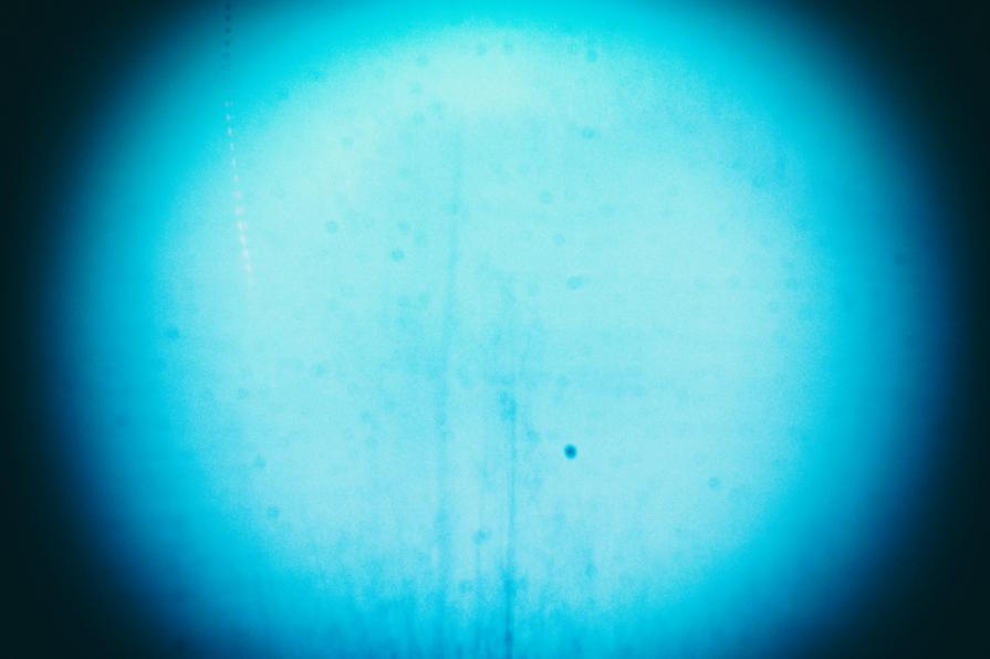 Dopo la valanga   ( After the avalanche ) 