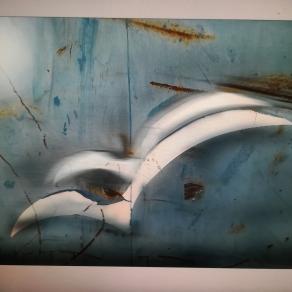 Mi cullo nel vento del tuo amore. 