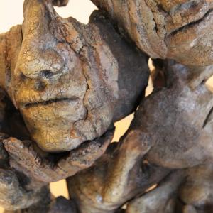 SUPREMA EFFIGIE al Palazzo Ducale di Revere (MN)